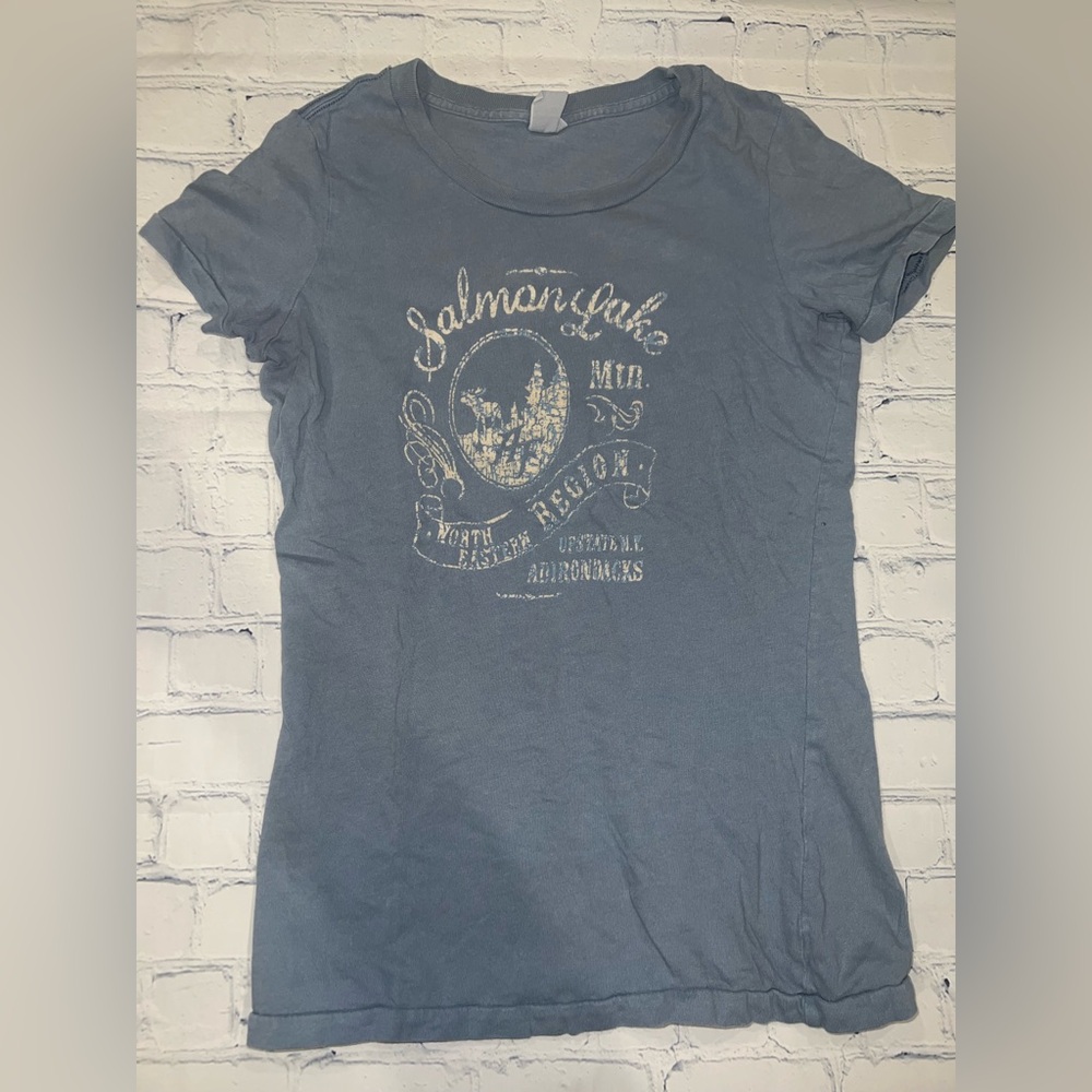 Abercrombie & Fitch Blue Graphic T-Shirt